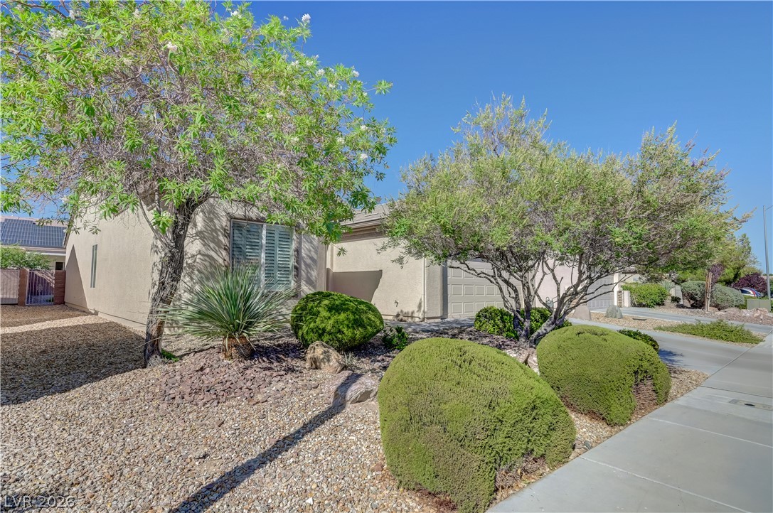 2416 Great Auk Avenue North Las Vegas NV 89084