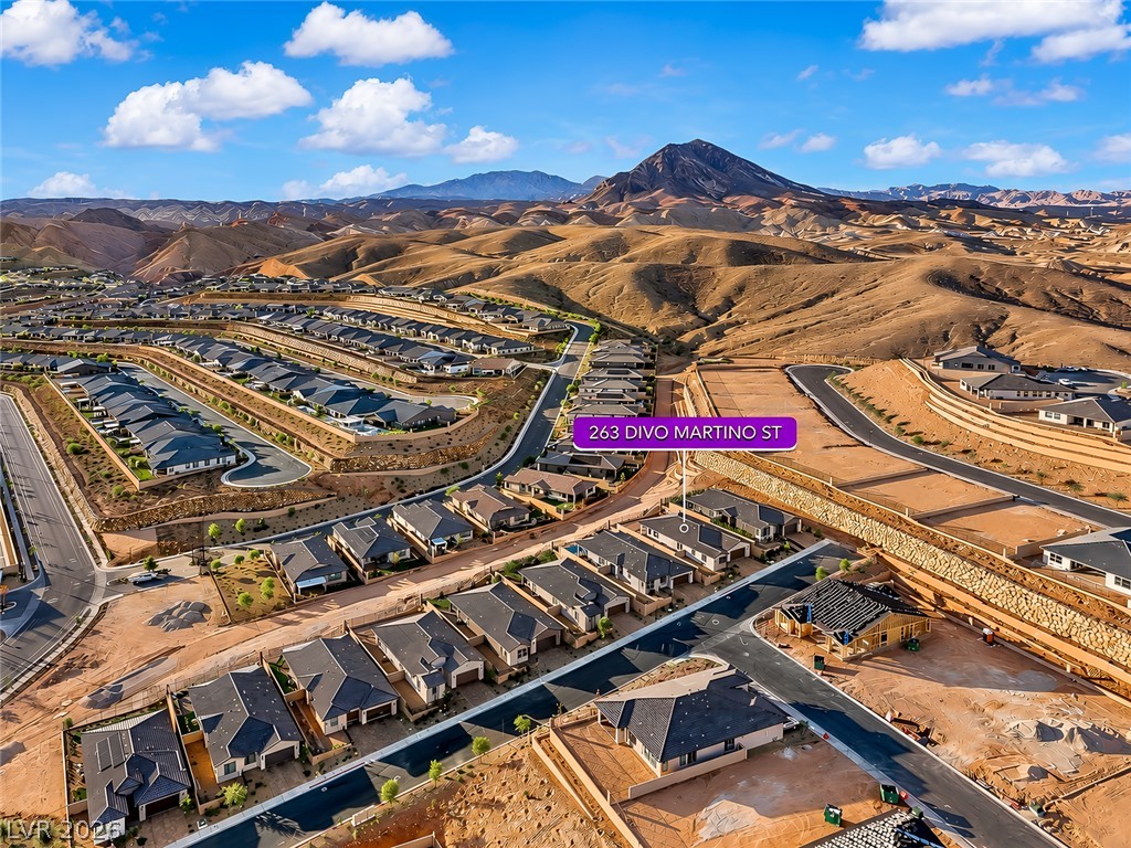 263 Divo Martino Street Henderson NV 89011