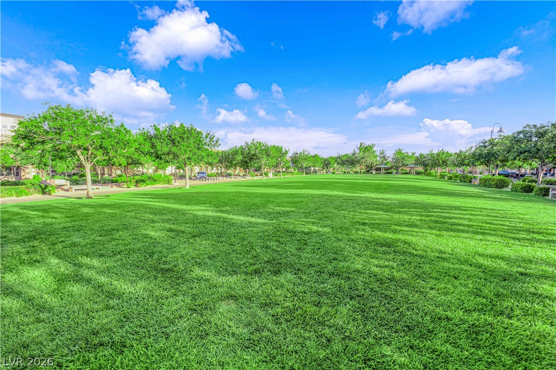 3497 Argiento Avenue Henderson NV 89044