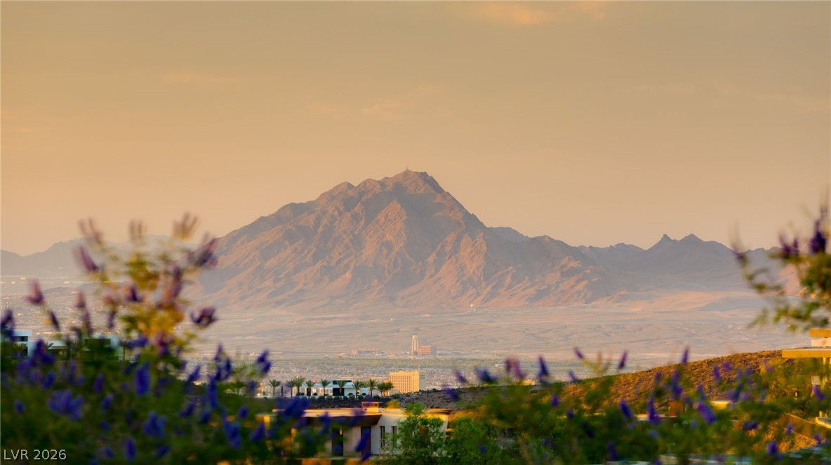 14 Sanctuary Peak Court Henderson NV 89012