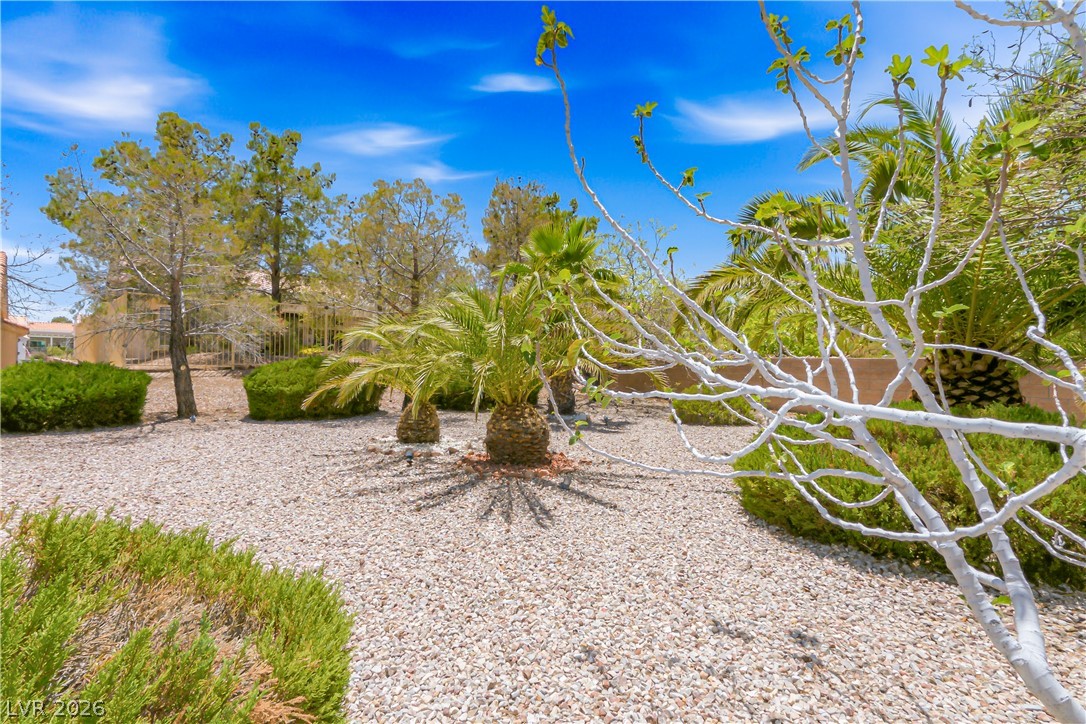 10309 Cogswell Avenue Las Vegas NV 89134