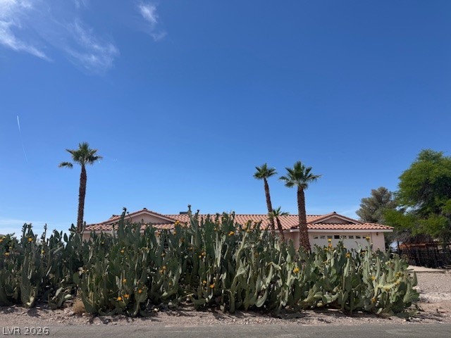 528 Emden Street Henderson NV 89015