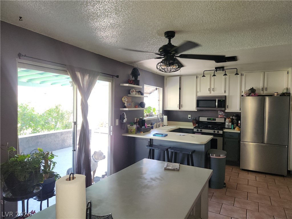 1917 Indrio Circle Las Vegas NV 89108