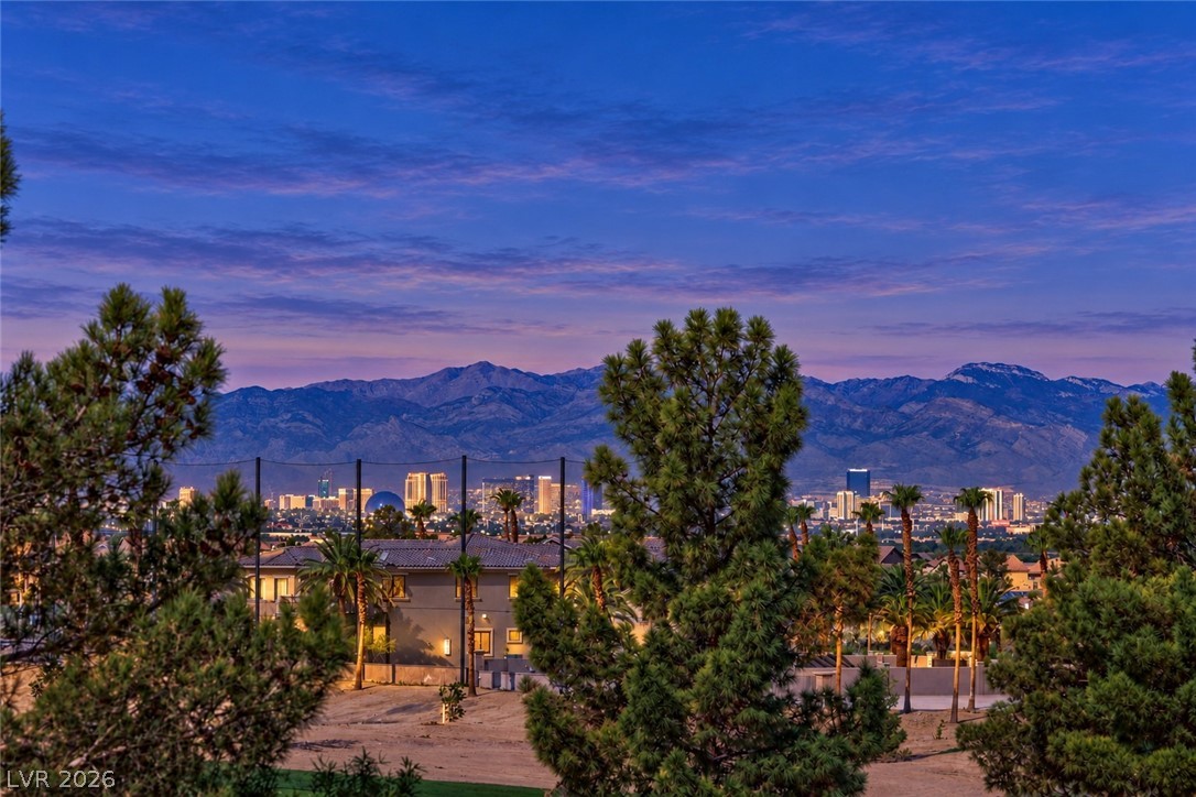 393 Via San Remo Circle Henderson NV 89011