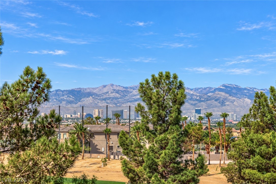 393 Via San Remo Circle Henderson NV 89011