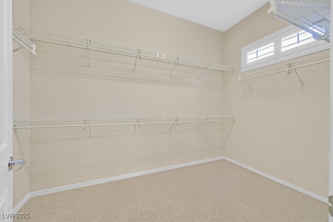 2899 Brook Trout Court Henderson NV 89052