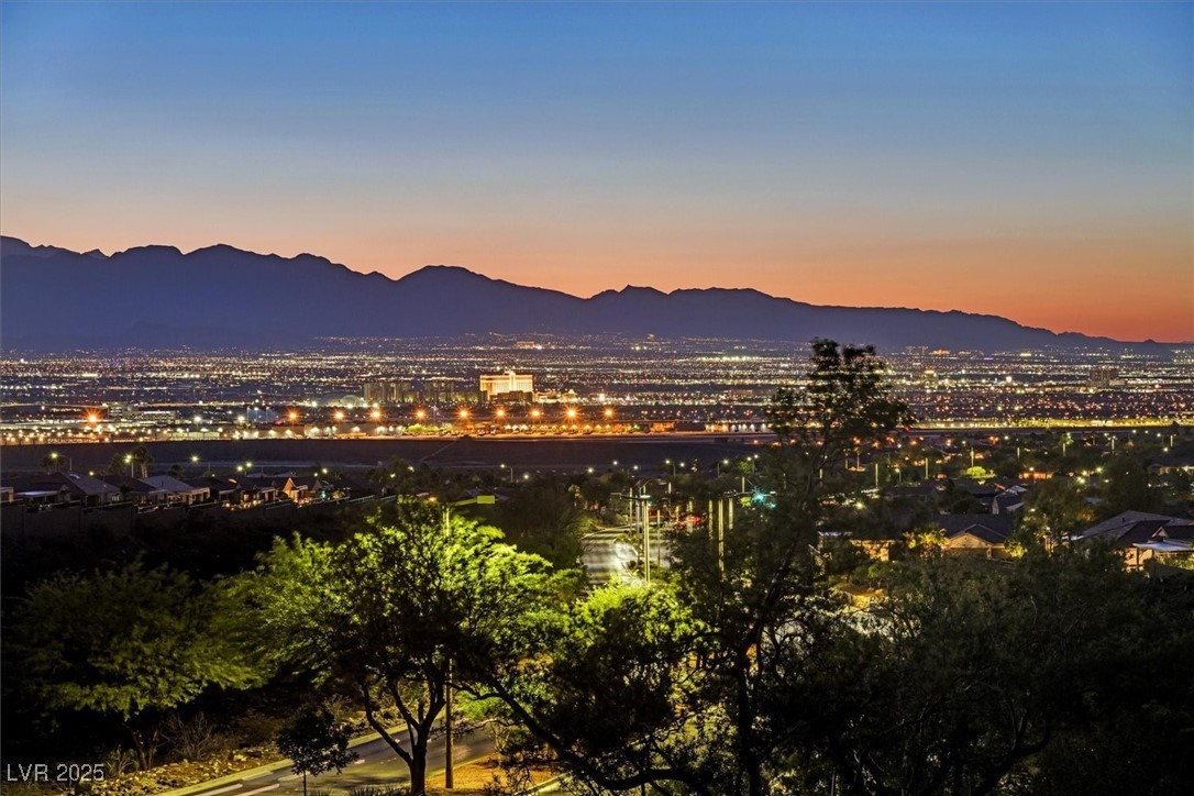 2899 Brook Trout Court Henderson NV 89052