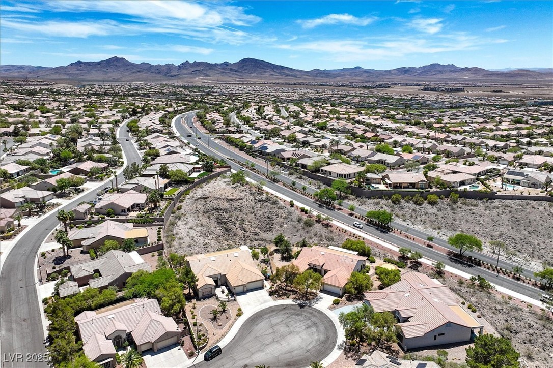2899 Brook Trout Court Henderson NV 89052