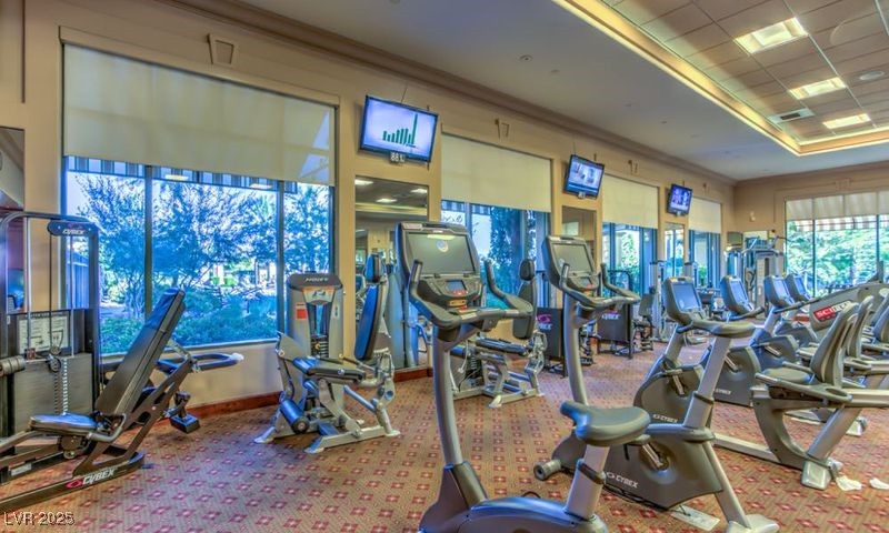 4198 Melodia Songo Court Las Vegas NV 89135