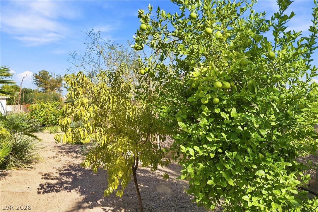 5321 Deerfield Court Pahrump NV 89061