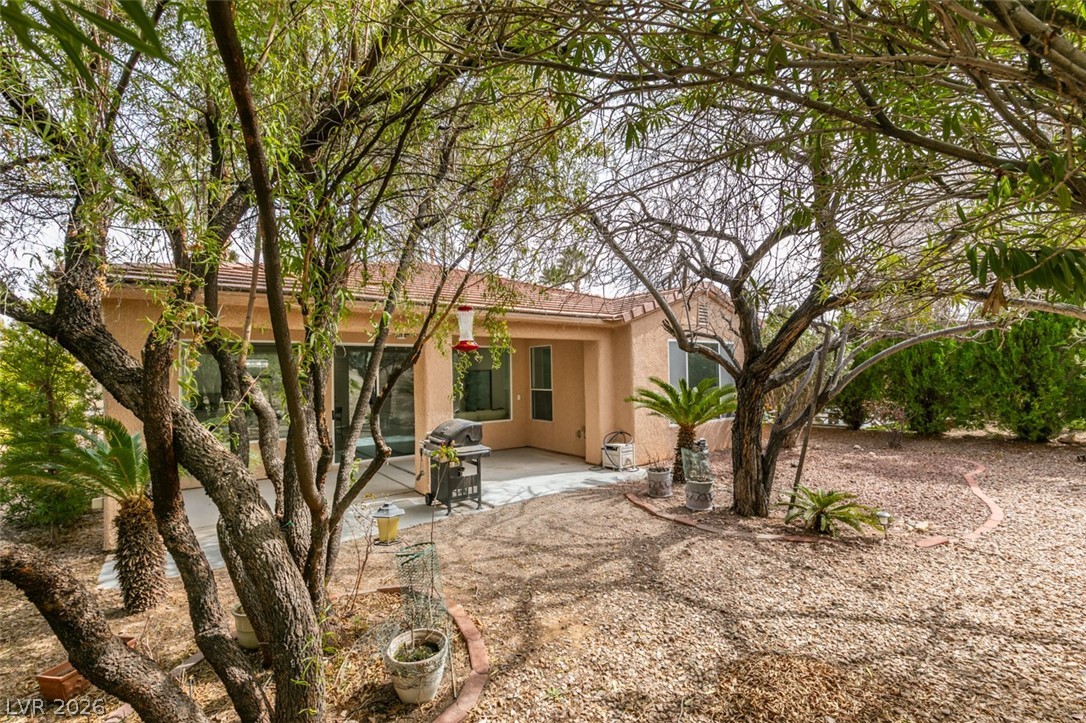 5029 Alfingo Street Las Vegas NV 89135