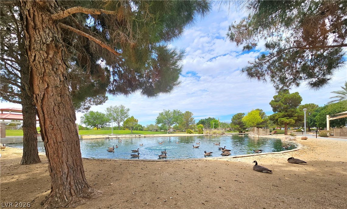 6729 Sea Swallow Street North Las Vegas NV 89084