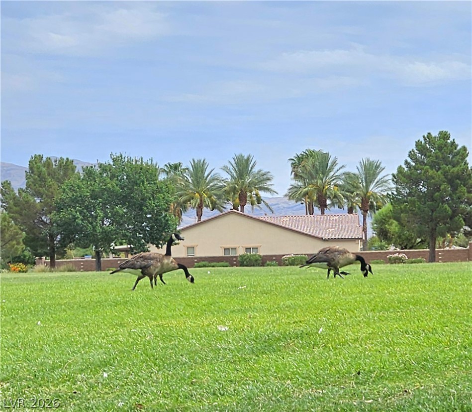 6729 Sea Swallow Street North Las Vegas NV 89084