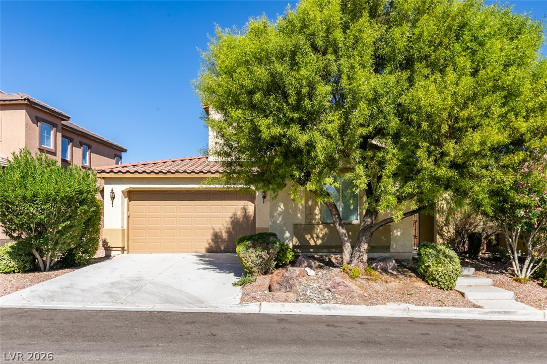 11244 Jasper Grove Avenue Las Vegas NV 89138