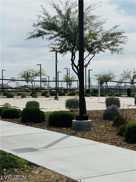 1003 Brilliant Meadow Avenue North Las Vegas NV 89086