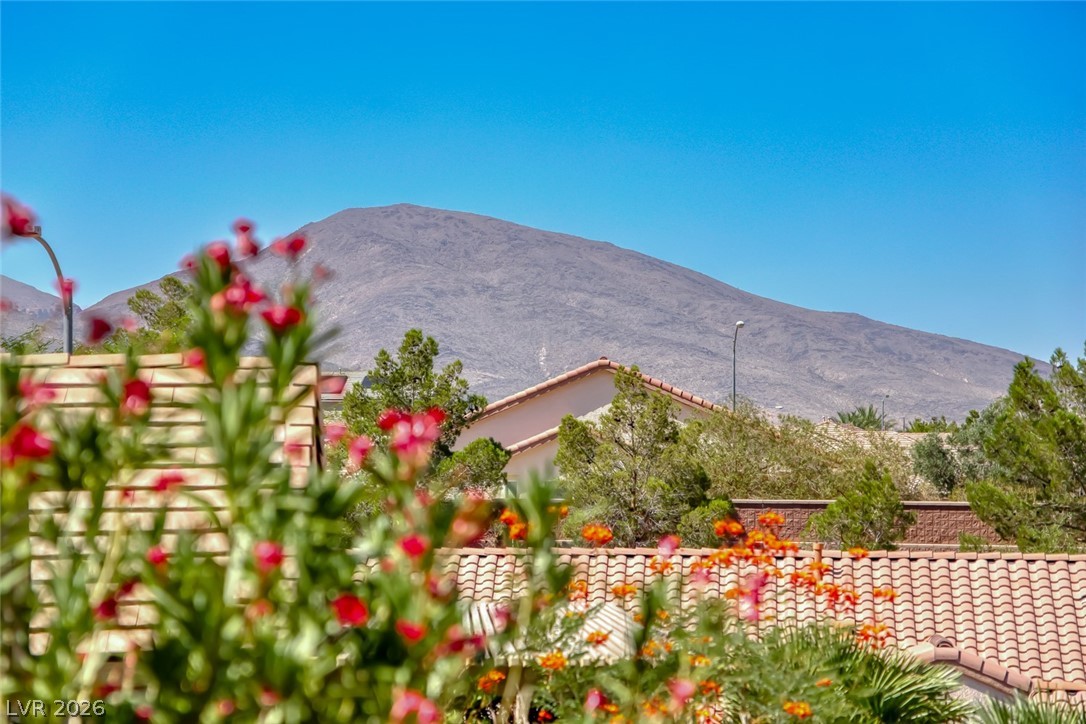 2343 Schaeffer Hills Drive Henderson NV 89052
