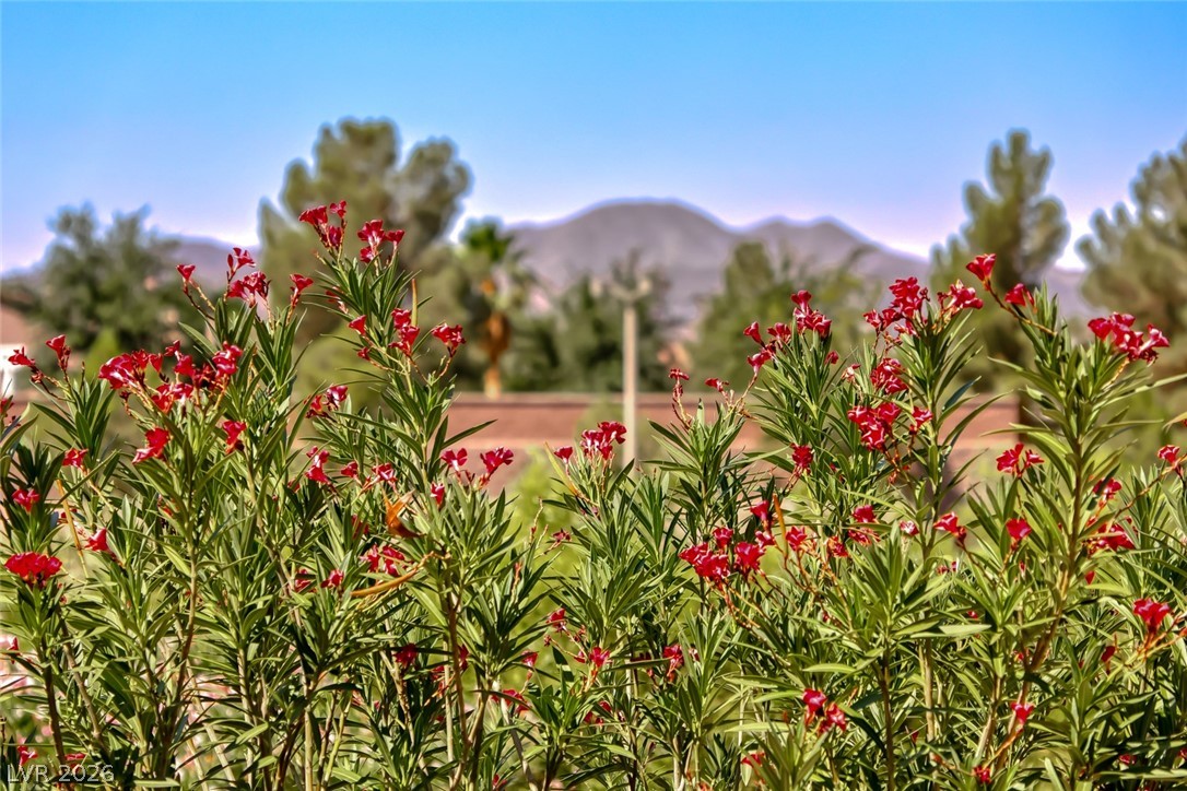 2343 Schaeffer Hills Drive Henderson NV 89052