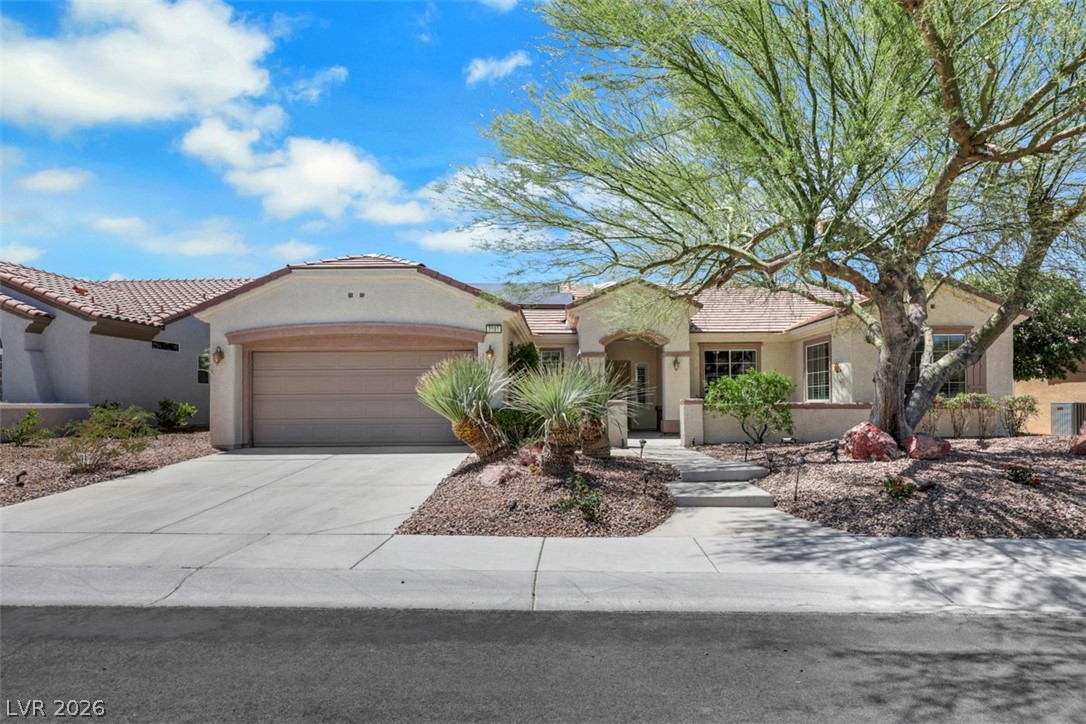 2093 Mountain City Street Henderson NV 89052