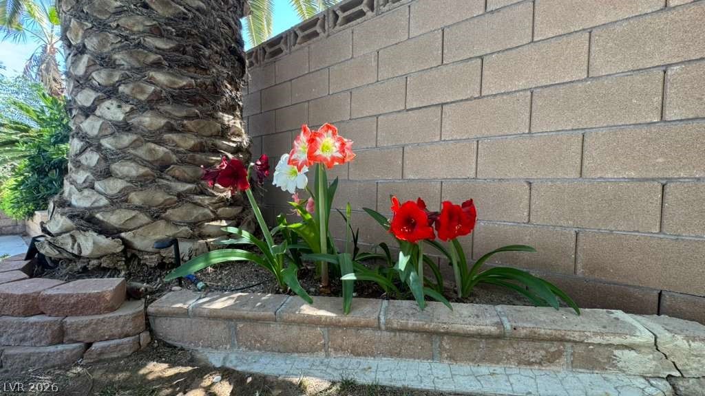 4690 Freshwater Drive Las Vegas NV 89103