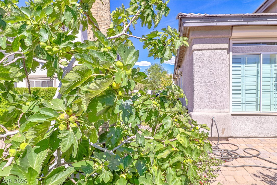 5752 Shermer Court Las Vegas NV 89120