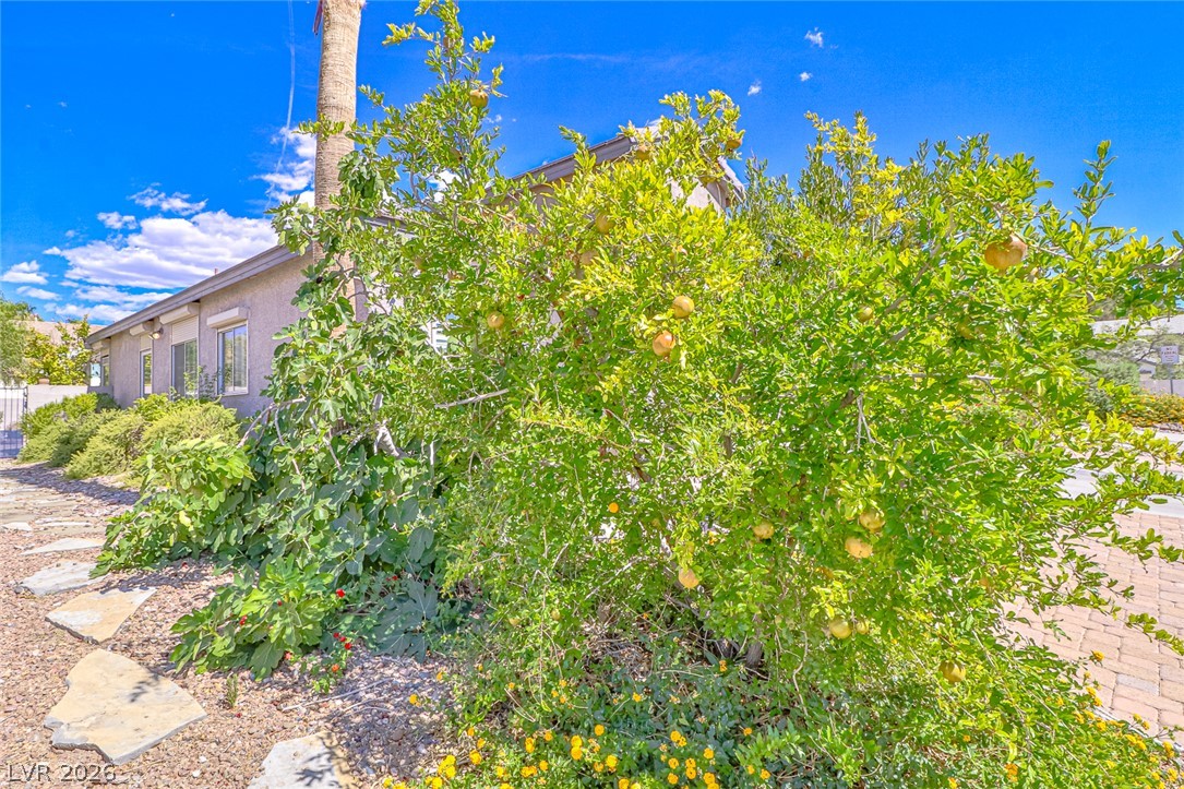5752 Shermer Court Las Vegas NV 89120