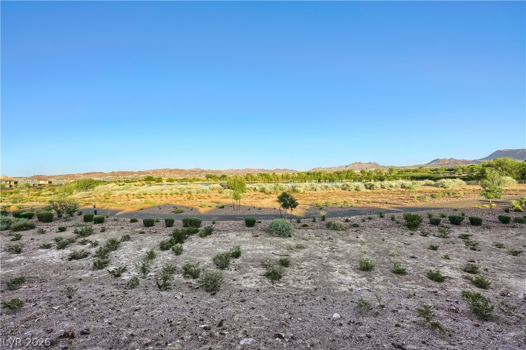 409 Winter Dove Avenue Henderson NV 89011