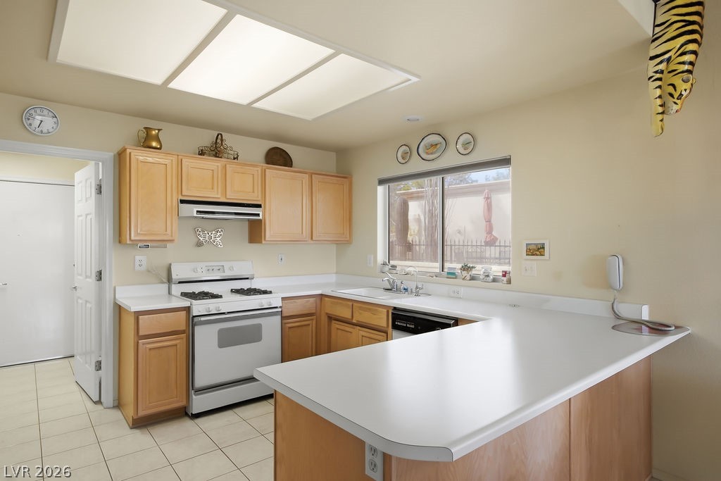 9216 January Drive Las Vegas NV 89134