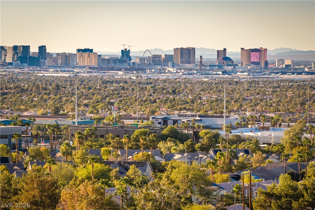 2536 Citrus Garden Circle Henderson NV 89052