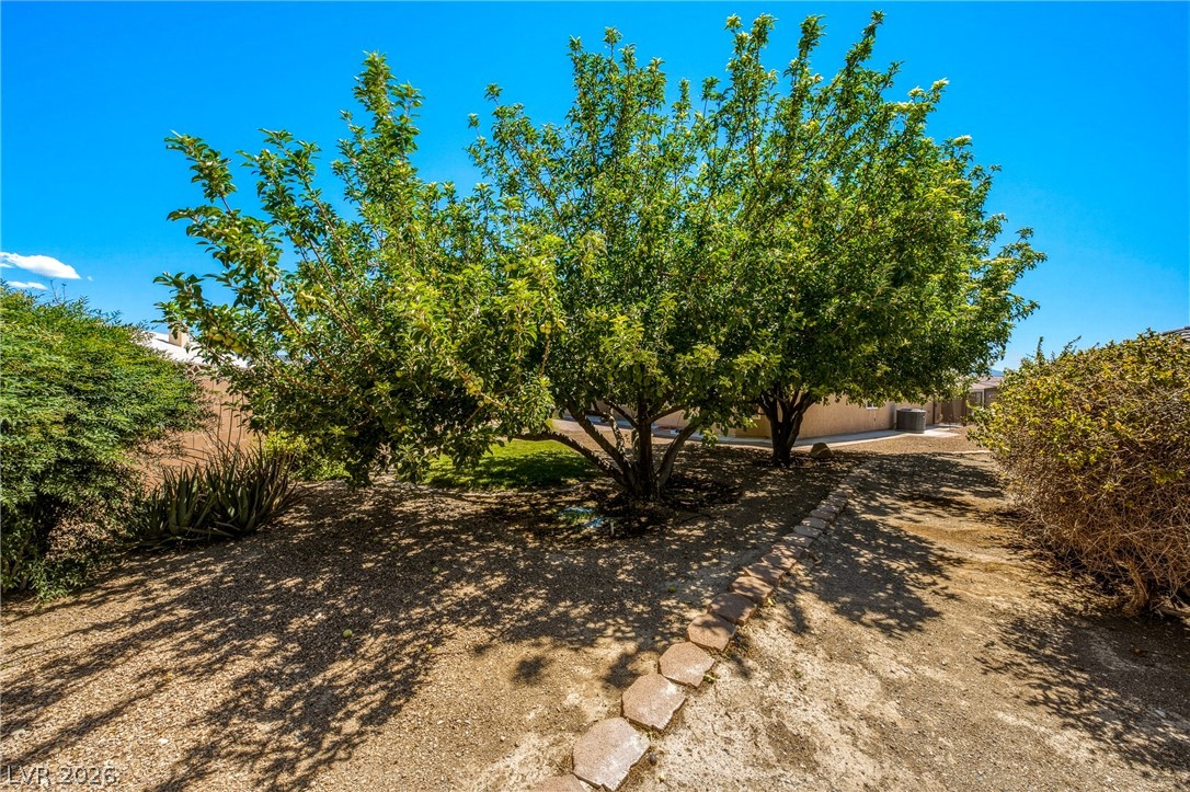 5360 Applewood Court Pahrump NV 89061