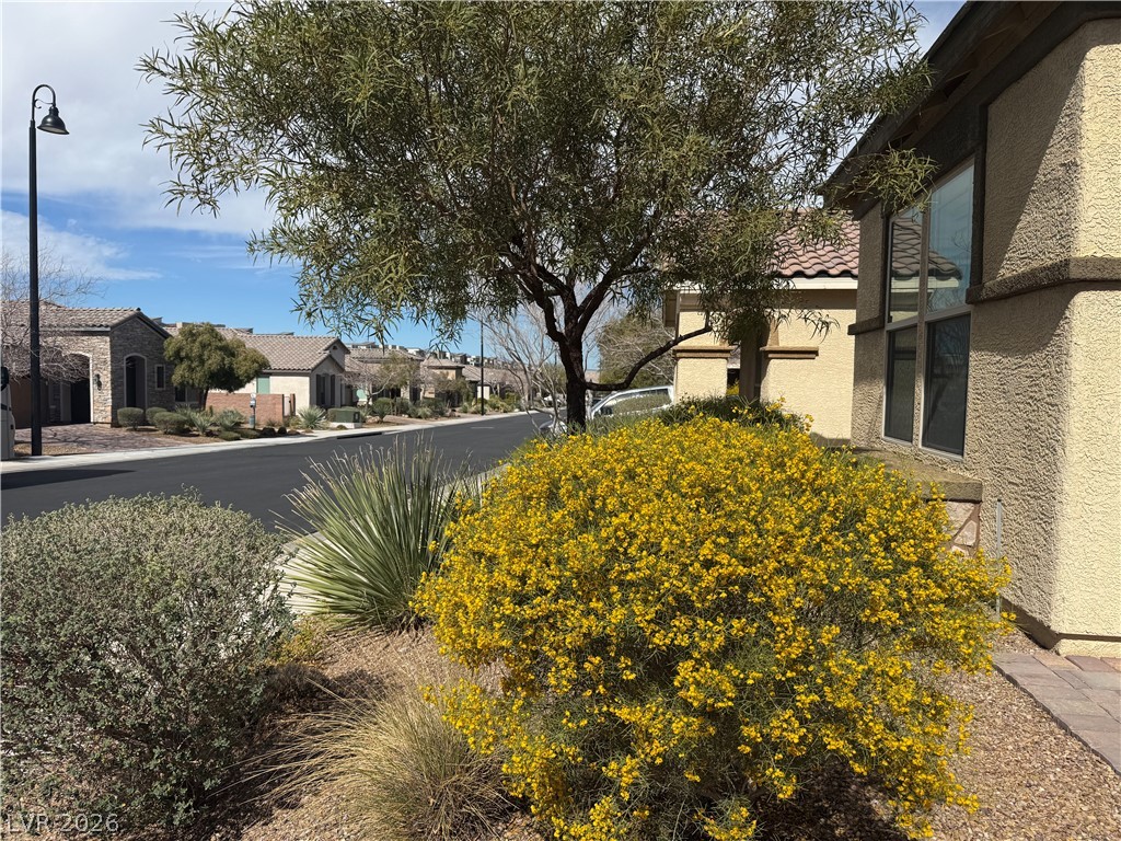 2646 Cooper Gallery Street Henderson NV 89044