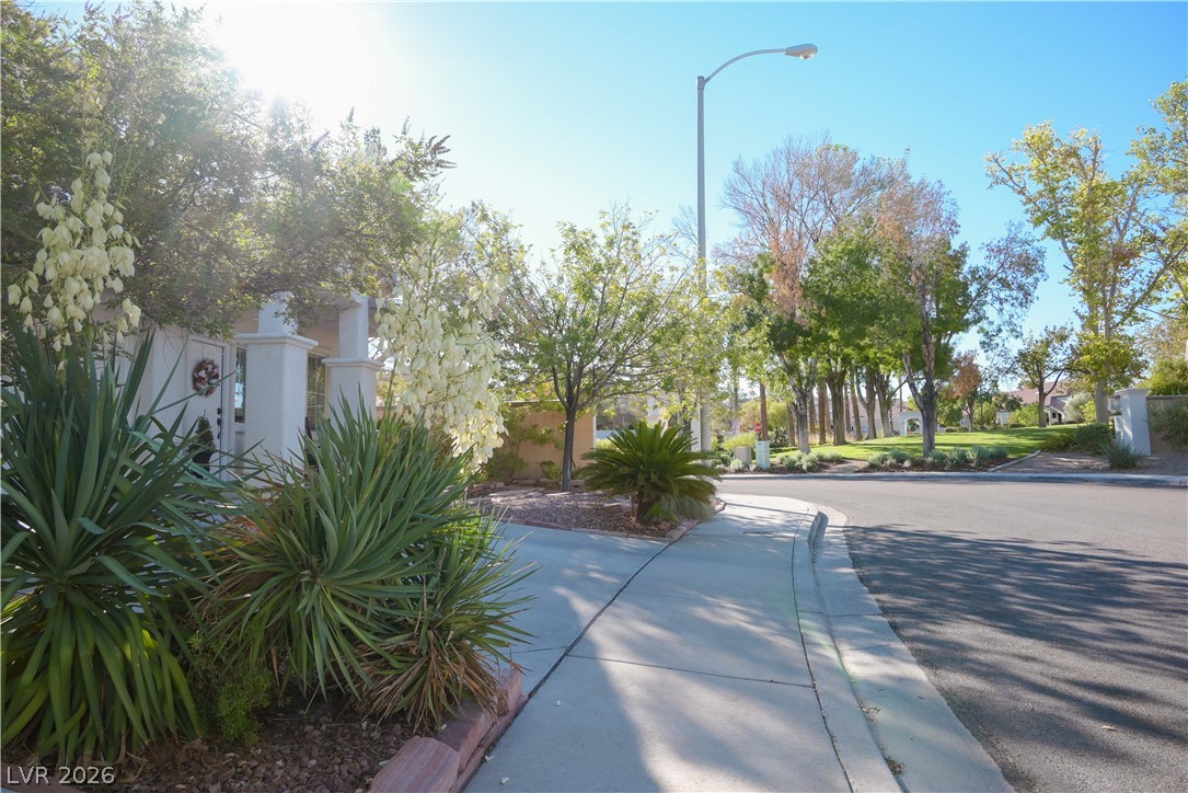 2047 Smoketree Village Circle Henderson NV 89012