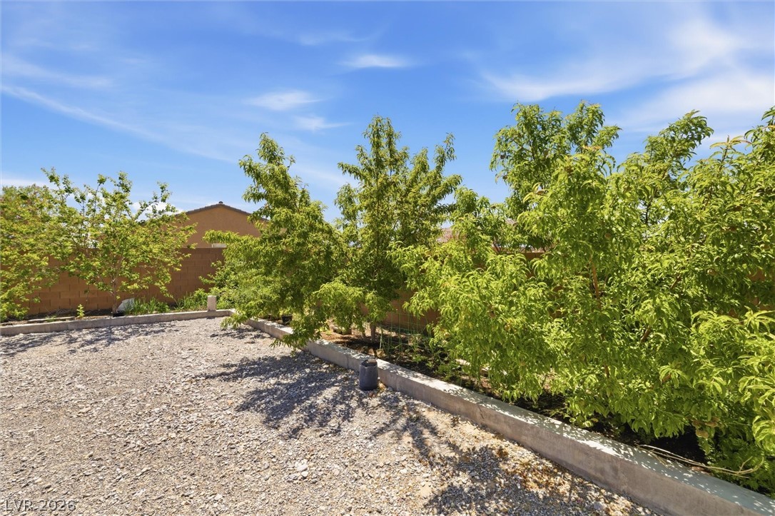 3813 East Gunnison Avenue Pahrump NV 89061
