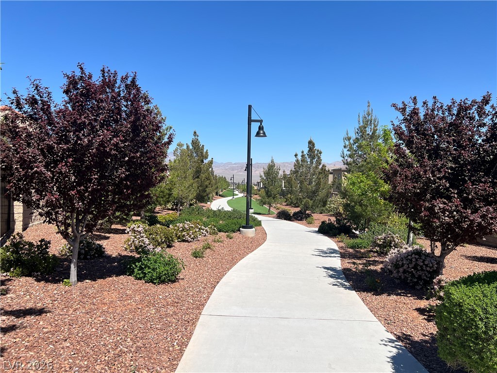 9952 Birch Knoll Avenue Las Vegas NV 89166