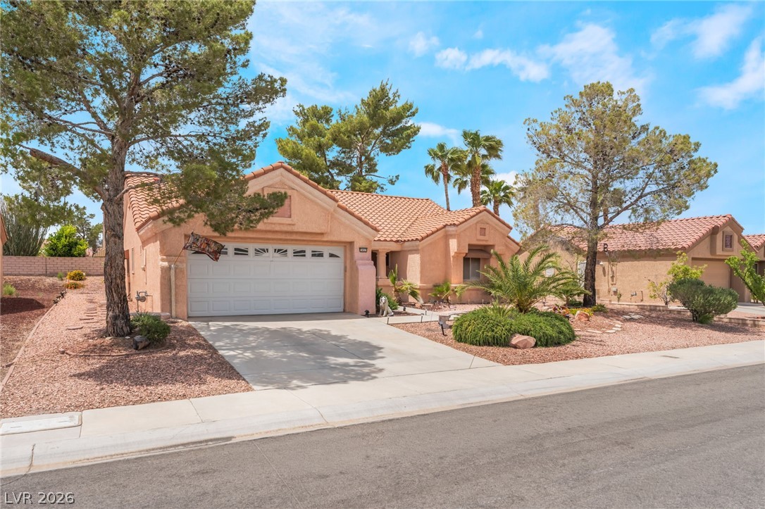2453 Desert Sands Drive Las Vegas NV 89134