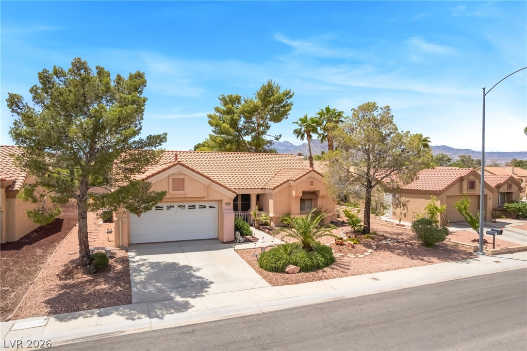 2453 Desert Sands Drive Las Vegas NV 89134