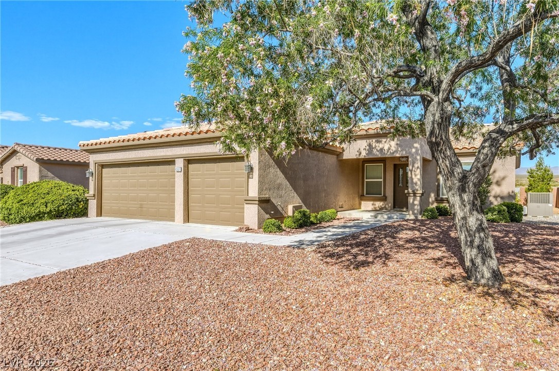 4307 Jacksboro Pahrump NV 89061