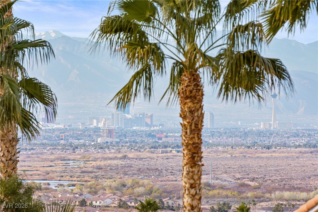 1013 Calico Ridge Drive Henderson NV 89011