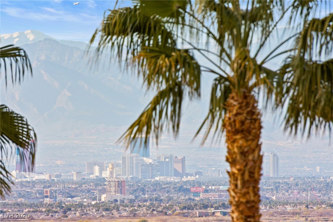 1013 Calico Ridge Drive Henderson NV 89011
