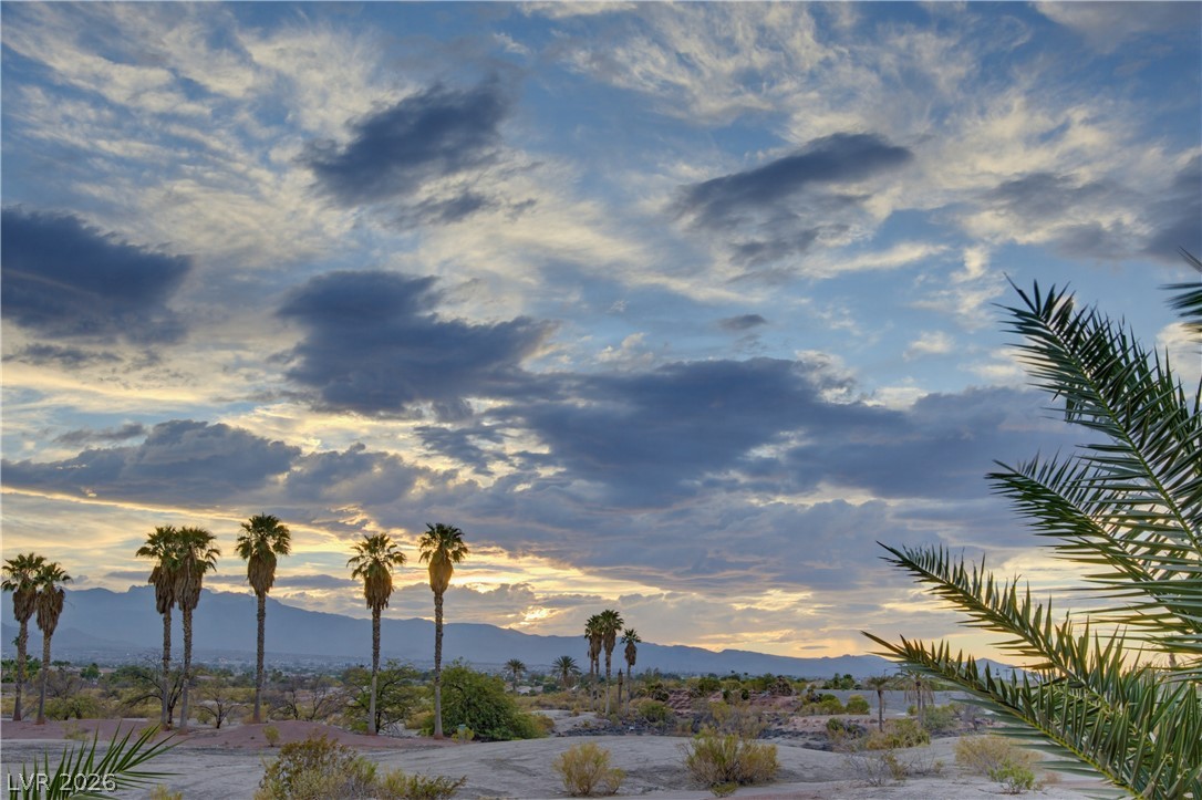 8565 Killians Greens Drive Las Vegas NV 89131