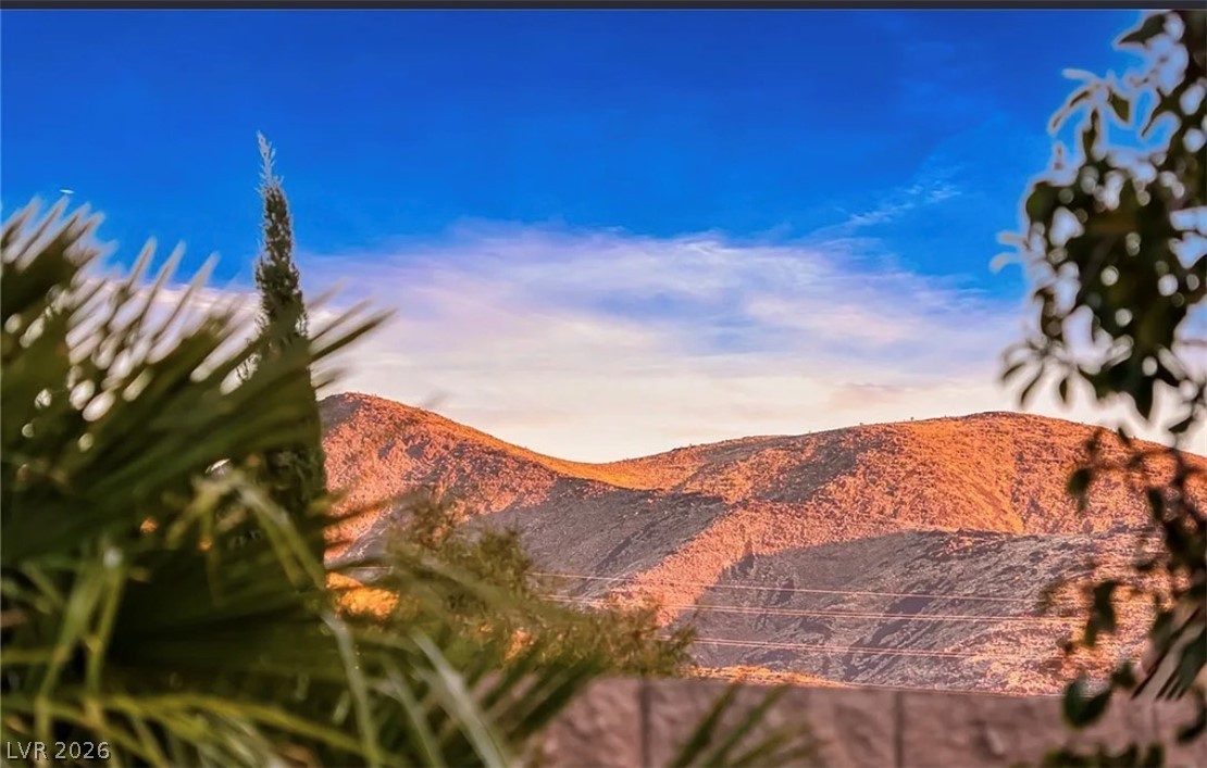 2256 Shadow Canyon Drive Henderson NV 89044
