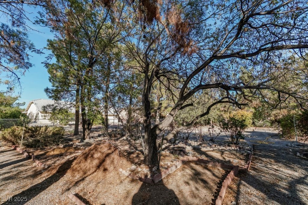 710 Tomahawk Court Pahrump NV 89060