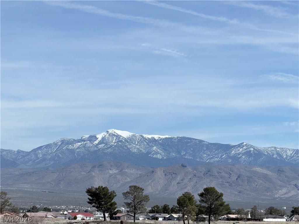 2031 South Blagg Road Pahrump NV 89048
