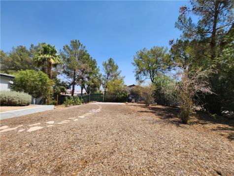 3131 East Katie Avenue Las Vegas NV 89121