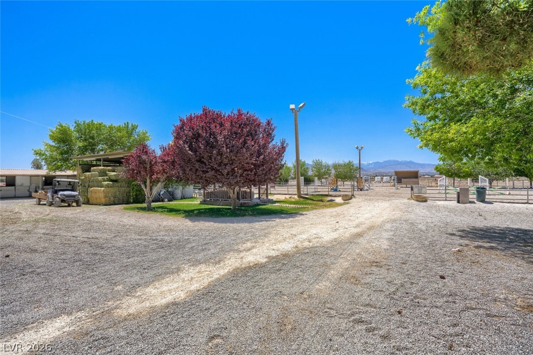6325 Guy Ave & 6320 Horse Dr Drive Las Vegas NV 89131
