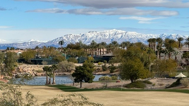2438 Green Mountain Court Las Vegas NV 89135