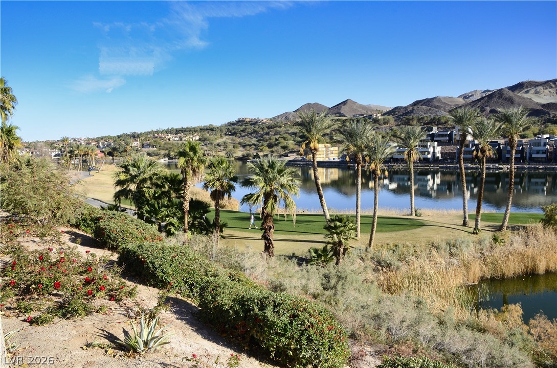8 Vista Outlook Street Henderson NV 89011