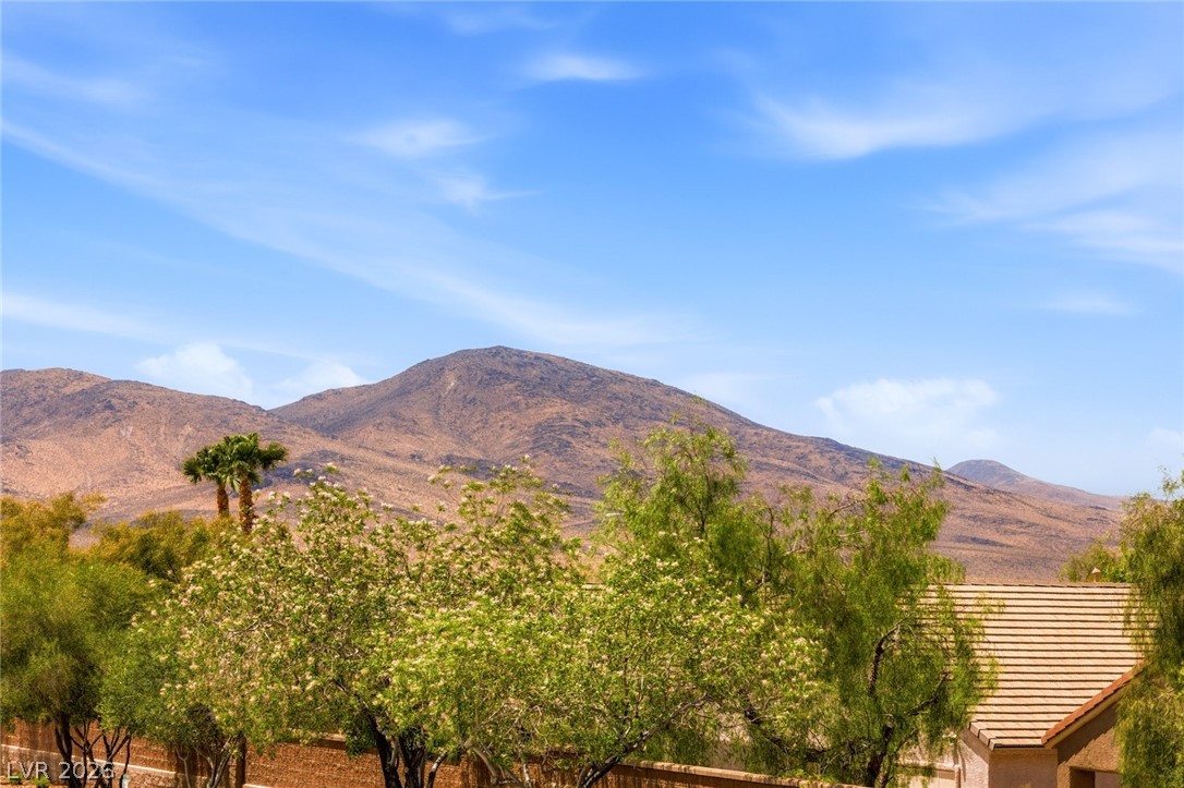 2502 Stardust Valley Drive Henderson NV 89044