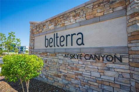 8847 Roadrunner Ravine Street Las Vegas NV 89166