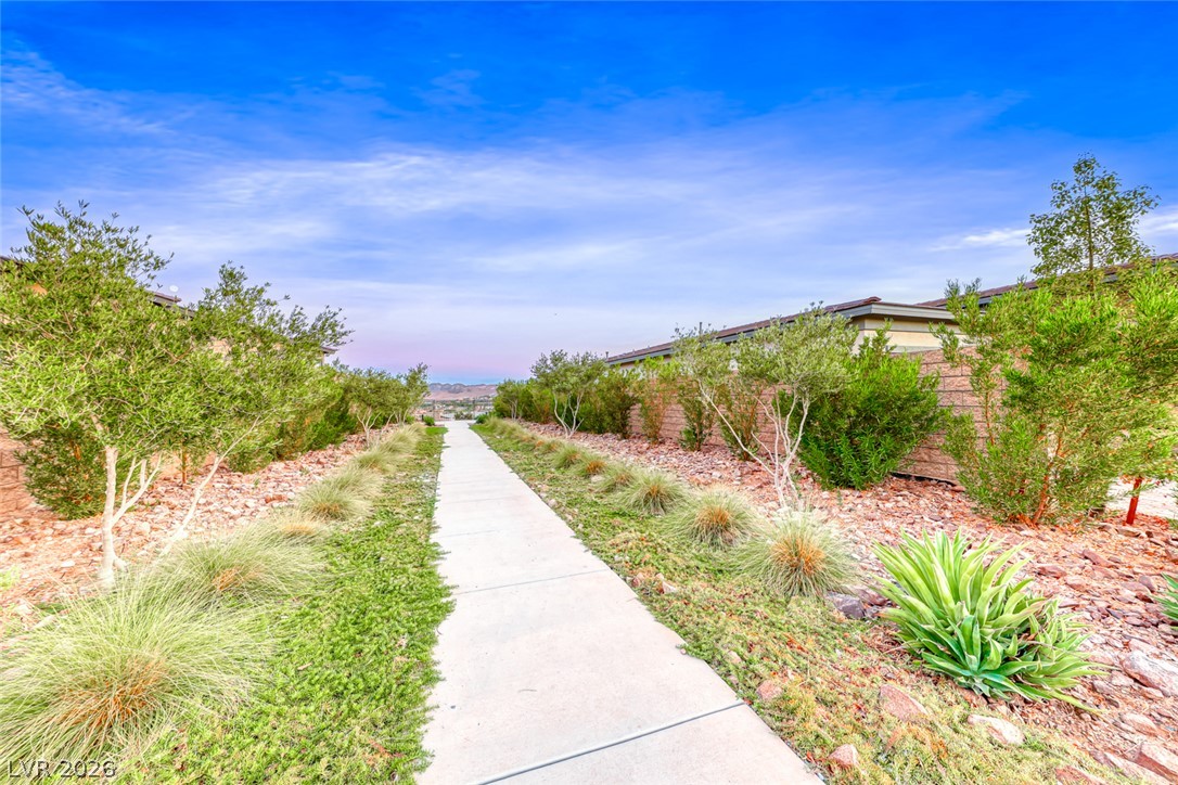 109 Reverie Heights Avenue Henderson NV 89011