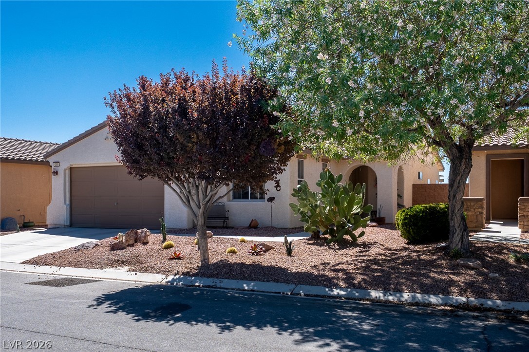 4310 South Gressa Street Pahrump NV 89061